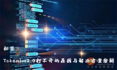 标签Tokenim2.0打不开的原因与解决方案