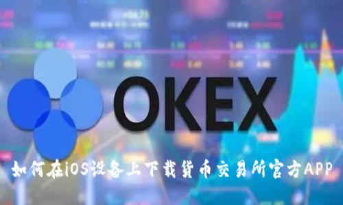 如何在iOS设备上下载货币交易所官方APP