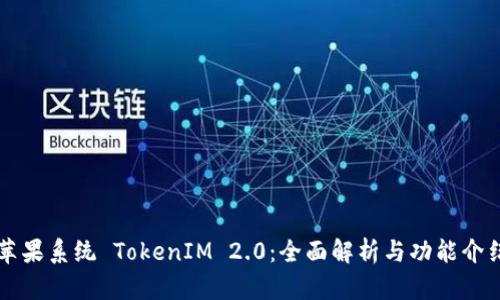 苹果系统 TokenIM 2.0:全面解析与功能介绍