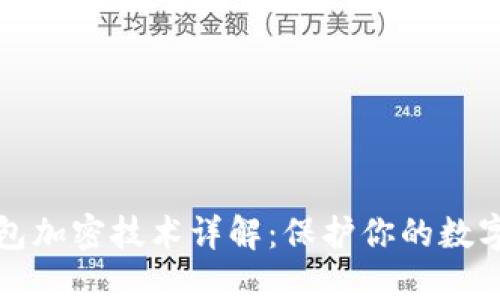 区块链钱包加密技术详解:保护你的数字资产安全