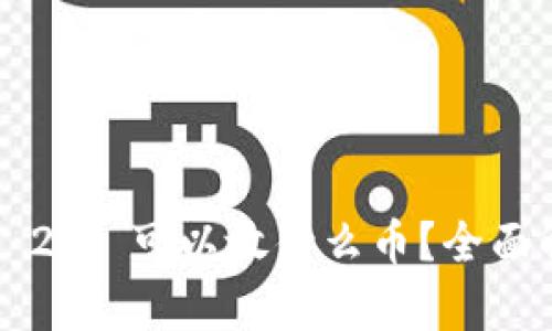 ziaotiTokenIM 2.0 可以放什么币?全面解析与投资策略